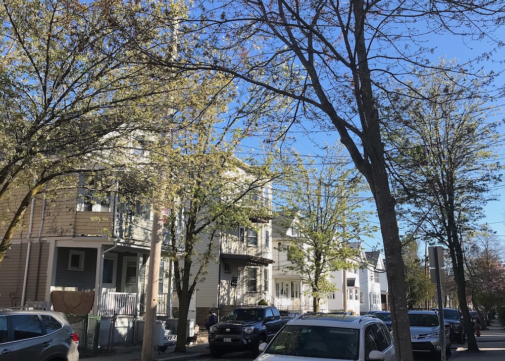 houses line a street in Somerville